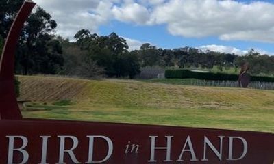 Experience Nepenthe Wines by Minivan Tour