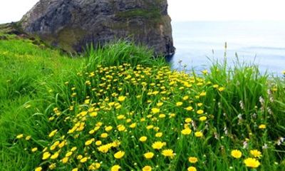 3 Day Essence of Faial Volcanoes Craters and Atlantic Horizons