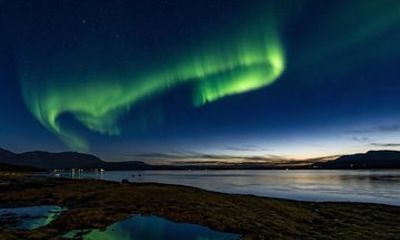 5 Days Aurora Arctic Stay in Malangen
