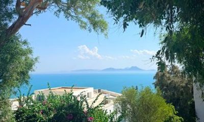 Private Tunis Carthage and Sidi Bou Said Tour