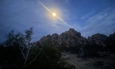 Starlight Hike in Joshua Tree National Park