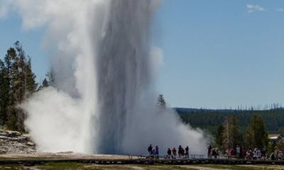 Private Tour around Yellowstone's Lower Loop with lunch