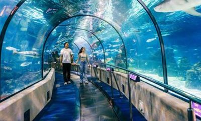 Barcelona Aquarium Skip-the-Line Tickets
