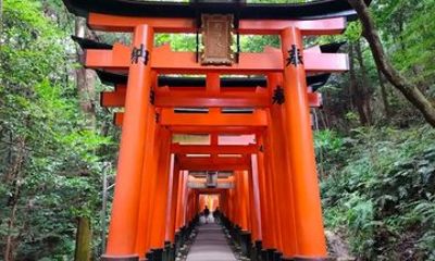 Kyoto Osaka and Nara Tour