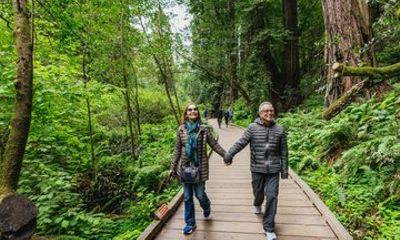 Muir Woods National Monument and Sausalito Day Tour San Francisco