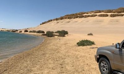 Private Fayoum Day Trip Whale Valley and Wadi El Rayan