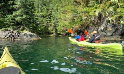 Wildlife Tour and Kayaking in Sitka