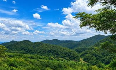 Doi Saket Trek and Sticky Waterfall Day Tour