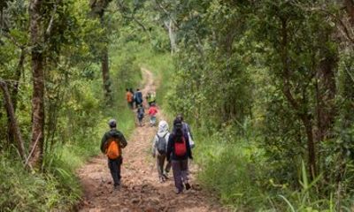 Chiang Mai Sacred Forest Walk and Hmong Cultural Experience