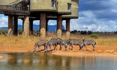 4 Days Amboseli & Tsavo West National park Wildlife Safari