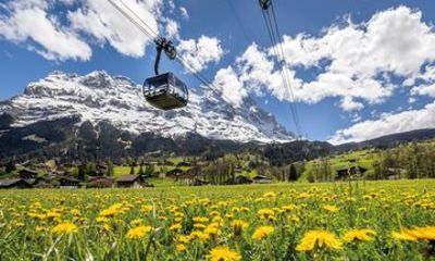 Eiger Express Gondola Ticket to Eigergletscher from Grindelwald