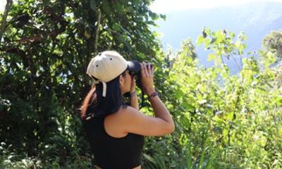 1-Day Adventure to the Andean Choco Experience the Forest