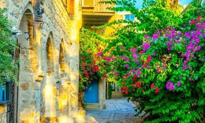 Tel Aviv: Jaffa, Neve Tzedek & Carmel Market with Tasting