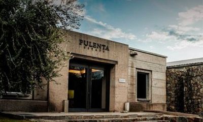 Private Wine Tour at Pulenta Estate