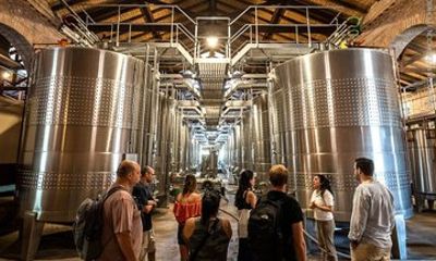 Alta Vista Winery Full Malbec Tasting Experience