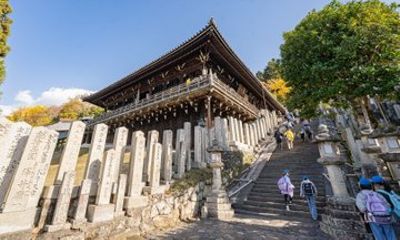 Nara 3-Hour Guided Tour: Deer Park & Todaiji Highlights