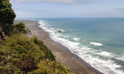 Private West Coast Eco-Sanctuary and Hidden Gem Tour