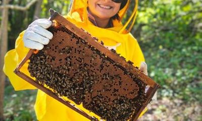 Masaya Private Beekeeping and Pottery Workshop with Local Artisan