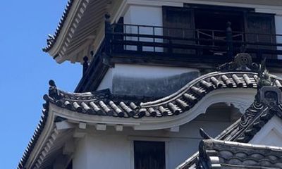 Kochi Private City Highlights Tour with Castle and Market