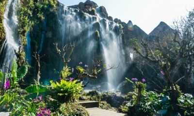 Sticky Waterfall, Wat Ban Den and Dantewada Chiang Mai Day Tour