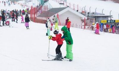 Jisan Forest Winter Ski Day Tour from Seoul with Basic Lesson