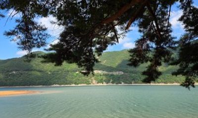Serene Busan Private Tour: Forest, Temple & Korean Tea