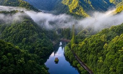 From Tea Hills to Hot Springs A Ninghai Escape from Shanghai