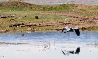 From Tbilisi: Rainbow Mountains & Lakes 4x4 Wildlife Tour