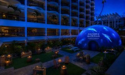 Sounds of the Ocean The Immersive Experience Waikiki