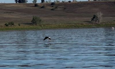 Guided Fishing and Leisure Boating on Denver Reservoirs
