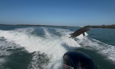 Private Dolphin and Eco Boat Tour Through the 10k Islands