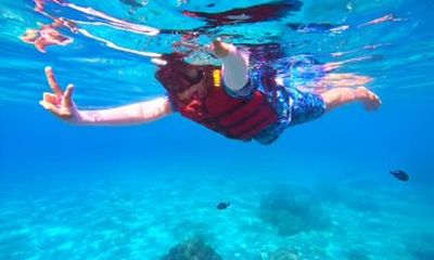 Da Nang or Hoi An: Cham Islands Snorkelling Small-Group Tour