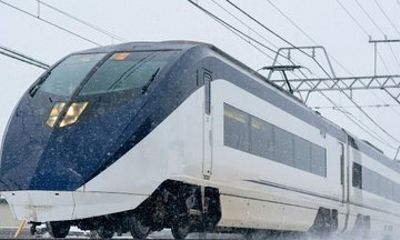 Tokyo: Narita Airport Skyliner Train Ticket to Ueno or Nippori