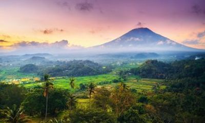 Private Local Driver in Bali 4 or 8 or 12 Hours Service