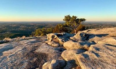 Atlanta: Stone Mountain Plus Tour: History, Nature, and Culture