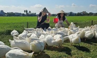 Private Hoi An Duck Stop Eco Farm Experience with Duck Leader