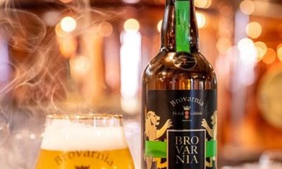 Gdańsk Scenic Cruise with Local Beer from Brovarnia Brewery