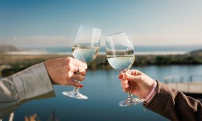 Constantia Wine and Picnic Private Tour in Cape Town