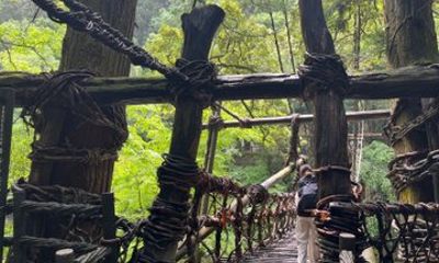 Explore Vine Bridge on Private Tour from Takamatsu