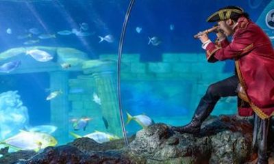 SEA LIFE Porto Admission Ticket with Ocean Tunnel