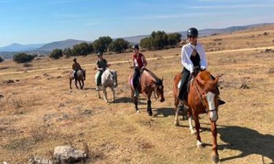 Johannesburg: Horseback Riding and Quad Bike Safari Adventure
