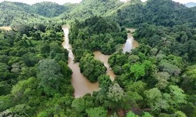 Ho Chi Minh City Private Vam Sat Mangrove Forest Safari Tour