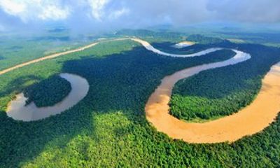 Sandakan 2 Days Wildlife Safari, Night Cruise and Jungle Walk