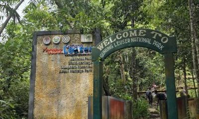 Deep Jungle Orangutan Trek in Bukit Lawang 5 Days Tour