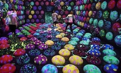 teamLab Forest Fukuoka Interactive Digital Art Ticket