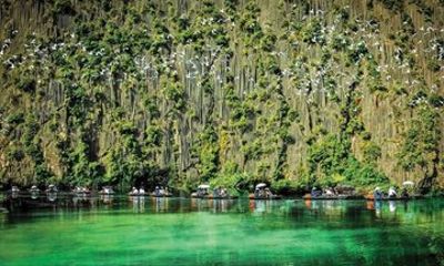 Van Long Nature and Waterfall Experience