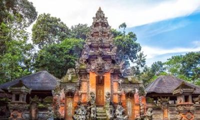Bali Ubud Private Tour with Monkey Forest and Rice Terrace