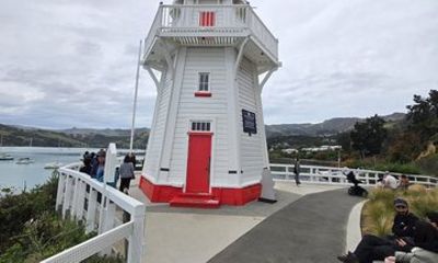 Akaroa Luxury Experience with Alpaca Farm and Dolphin Watching