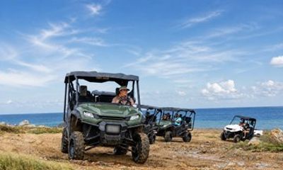Aruba UTV & ATV Tour: Animal Garden, North Coast & Andicuri Beach