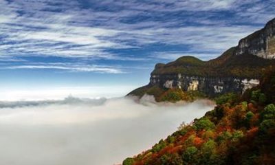 Jinfo Mountain Day Tour from Chongqing